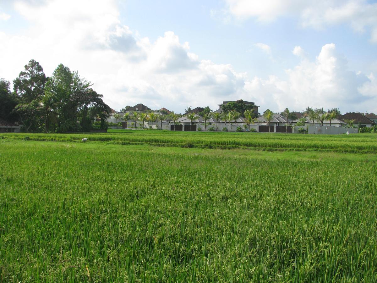 Pondok Mesari House Ubud  Bagian luar foto