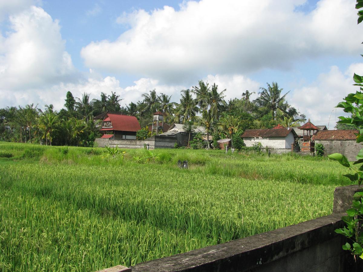 Pondok Mesari House Ubud  Bagian luar foto